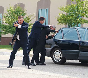 INTRODUCTION TO DIGNITARY PROTECTION ​